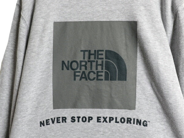 US企画 ノースフェイス 両面 プリント スウェット フード パーカー メンズ М The North Face プルオーバー トレーナー アウトドア 裏起毛
