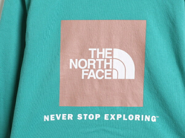 US企画 ノースフェイス 両面 プリント スウェット フード パーカー メンズ М The North Face 裏起毛 トレーナー アウトドア プルオーバー