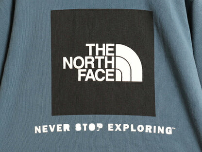 US企画 ノースフェイス 両面 プリント スウェット フード パーカー メンズ М The North Face プルオーバー トレーナー アウトドア 裏起毛