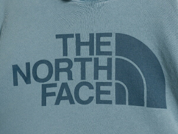 ノースフェイス プリント スウェット フード パーカー メンズ М The North Face 裏起毛 プルオーバー トレーナー アウトドア ライトブルー