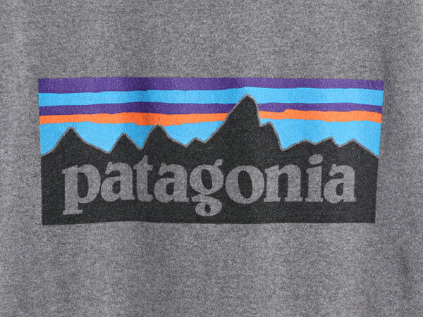 19年製 パタゴニア ポケット付き 両面 プリント 半袖 Tシャツ メンズ L / Patagonia アウトドア ポケT P6 ボックスロゴ バックプリント 灰