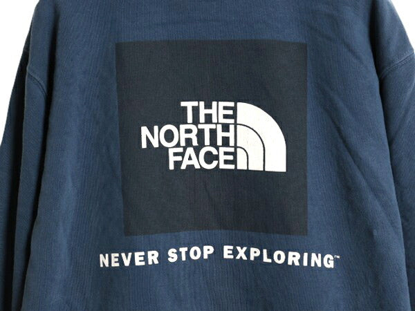 ノースフェイス 両面 プリント スウェット フード パーカー メンズ L / The North Face プルオーバー 裏起毛 トレーナー アウトドア ブルー