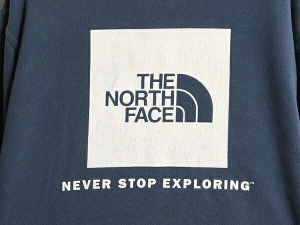 US企画 ノースフェイス 両面 プリント スウェット フード パーカー メンズ L The North Face 裏起毛 トレーナー スエット プルオーバー 青