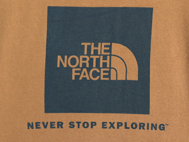 ノースフェイス 両面 プリント スウェット フード パーカー メンズ S 古着 The North Face アウトドア プルオーバー 裏起毛 トレーナー 茶