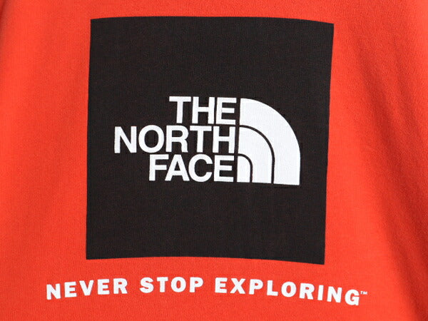 US企画 ノースフェイス 両面 プリント スウェット フード パーカー メンズ L The North Face 裏起毛 トレーナー アウトドア プルオーバー