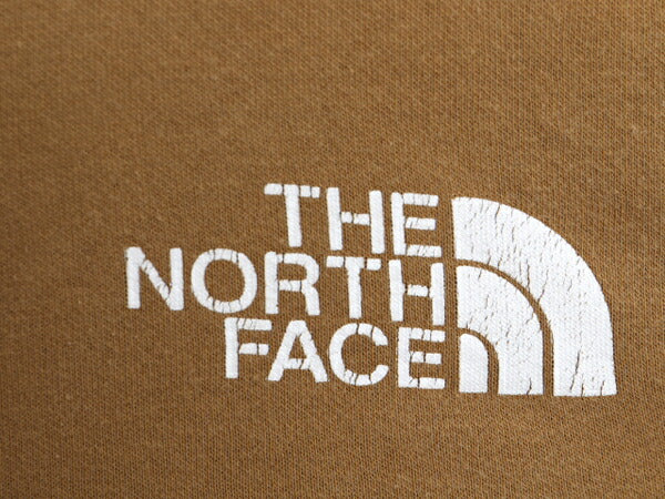 US企画 ノースフェイス 両面 プリント スウェット フード パーカー メンズ L The North Face 裏起毛 トレーナー アウトドア プルオーバー