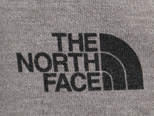 ノースフェイス 両面 プリント スウェット フード パーカー レディース М The North Face プルオーバー 裏起毛 トレーナー アウトドア 灰