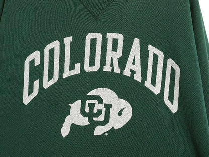 90s USA製 ラッセル 2段 カレッジ プリント スウェット メンズ レディース XL / オールド トレーナー 裏起毛 クルーネック 大きいサイズ 緑