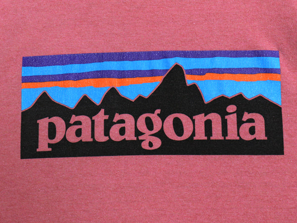 パタゴニア 両面 プリント 半袖 Tシャツ メンズ XL / 古着 19年製 カットソー P6 バックプリント ボックスロゴ クルーネック 大きいサイズ