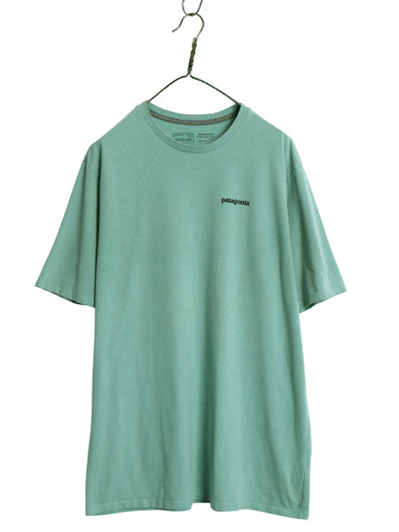 パタゴニア 両面 プリント 半袖 Tシャツ メンズ L 20年製 アウトドア バックプリント フィッツロイ バイソン グラフィック イラスト アート