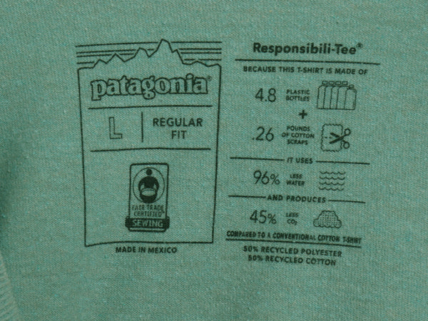 パタゴニア 両面 プリント 半袖 Tシャツ メンズ L 20年製 アウトドア バックプリント フィッツロイ バイソン グラフィック イラスト アート