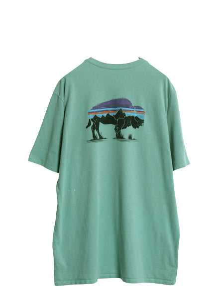 パタゴニア 両面 プリント 半袖 Tシャツ メンズ L 20年製 アウトドア バックプリント フィッツロイ バイソン グラフィック イラスト アート