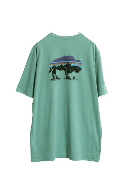 パタゴニア 両面 プリント 半袖 Tシャツ メンズ L 20年製 アウトドア バックプリント フィッツロイ バイソン グラフィック イラスト アート