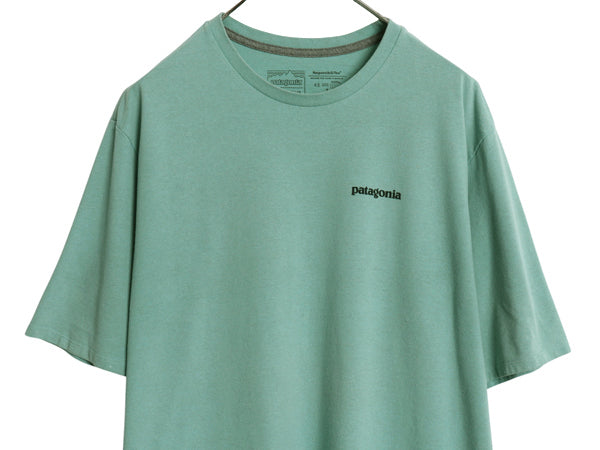 パタゴニア 両面 プリント 半袖 Tシャツ メンズ L 20年製 アウトドア バックプリント フィッツロイ バイソン グラフィック イラスト アート