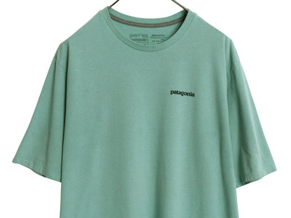 パタゴニア 両面 プリント 半袖 Tシャツ メンズ L 20年製 アウトドア バックプリント フィッツロイ バイソン グラフィック イラスト アート