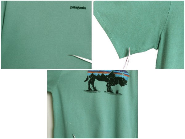 パタゴニア 両面 プリント 半袖 Tシャツ メンズ L 20年製 アウトドア バックプリント フィッツロイ バイソン グラフィック イラスト アート