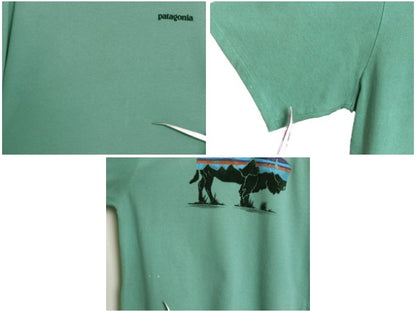 パタゴニア 両面 プリント 半袖 Tシャツ メンズ L 20年製 アウトドア バックプリント フィッツロイ バイソン グラフィック イラスト アート