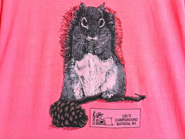 90s USA製 リス アート イラスト 両面 プリント Tシャツ メンズ M レディース L 程 / 古着 オールド アニマル グラフィック 企業物 ピンク