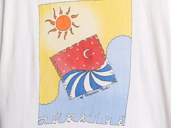 00s カレッジ アート イラスト プリント Tシャツ メンズ XL 00年代 オールド グラフィック 大きいサイズ ヘビーウェイト シングルステッチ