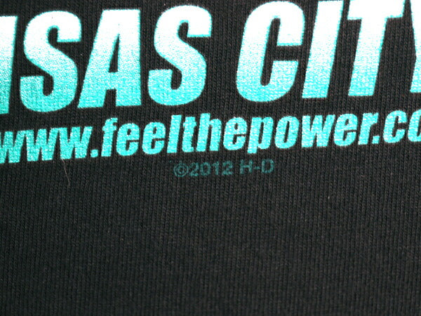 USA製 ハーレー ダビッドソン 両面 プリント Tシャツ メンズ M / オフィシャル ヘビーウェイト イーグル バイク イラスト グラフィック 黒