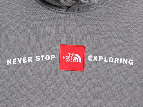 US企画 ノースフェイス プリント スウェット フード パーカー メンズ L 程 古着 The North Face ボックスロゴ ワッペン 刺繍 トレーナー 灰