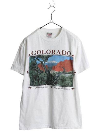 90s USA製 アート イラスト プリント Tシャツ メンズ レディース M オールド アウトドア グラフィック ヘビーウェイト シングルステッチ 白