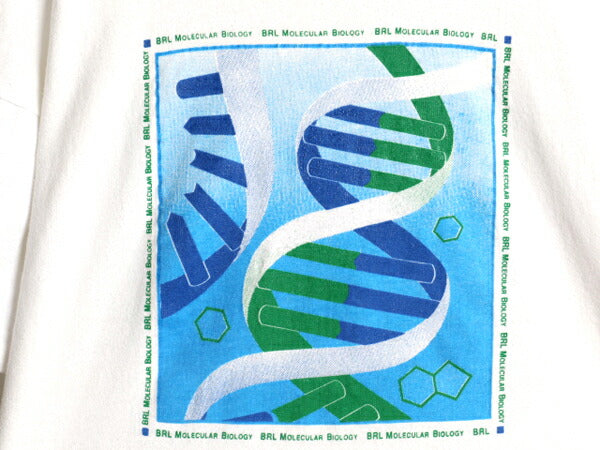 80s USA製 チャンピオン DNA サイエンス アート プリント Tシャツ メンズ XL 小さめ L ヴィンテージ イラスト グラフィック トリコタグ 白
