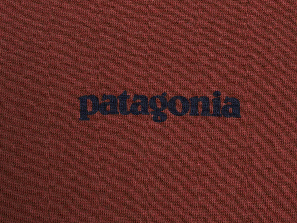 パタゴニア 両面 プリント 長袖 Tシャツ メンズ L / 16年製 アウトドア ロンT ロングスリーブ P6 バックプリント ボックスロゴ カットソー