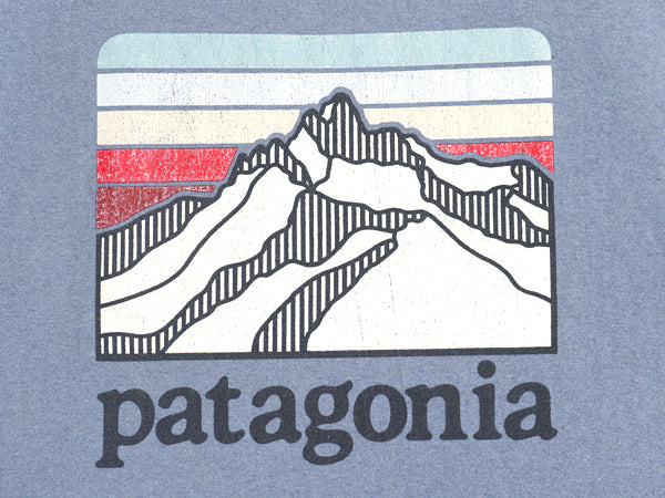 パタゴニア プリント スウェット フード パーカー メンズ XXL 19年製 トレーナー プルオーバー ストレッチ アウトドア 裏起毛 大きいサイズ