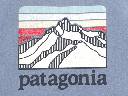 パタゴニア プリント スウェット フード パーカー メンズ XXL 19年製 トレーナー プルオーバー ストレッチ アウトドア 裏起毛 大きいサイズ