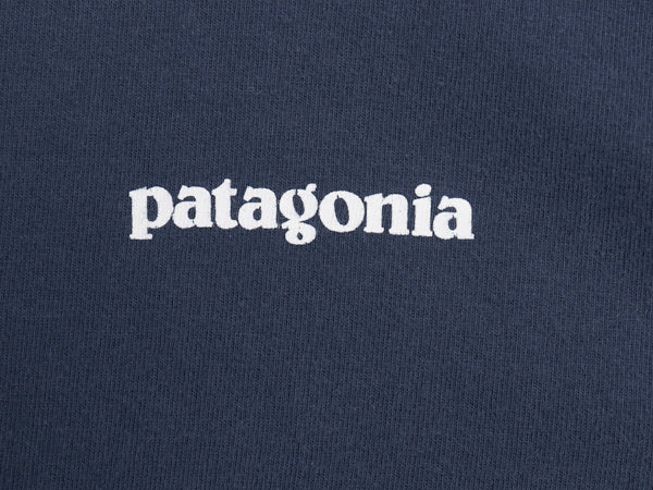 パタゴニア 両面 プリント 長袖 Tシャツ メンズ L 17年製 アウトドア ロンT ロングスリーブ P6 バックプリント ボックスロゴ カットソー 紺