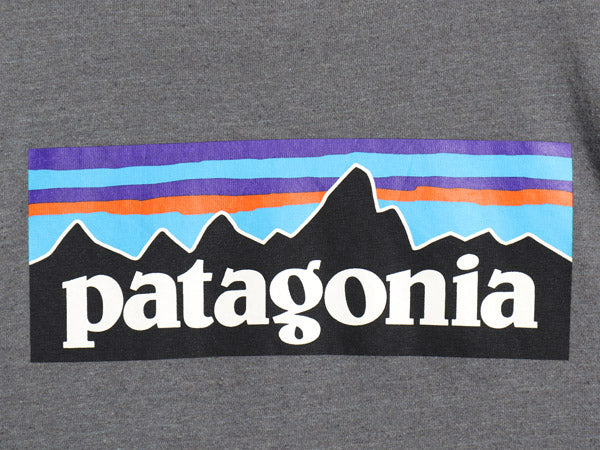 パタゴニア 両面 プリント 長袖 Tシャツ レディース S アウトドア ロンT ロングスリーブ P6 バックプリント ボックスロゴ カットソー 濃灰