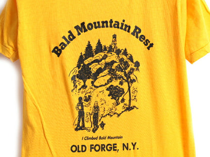 70s 80s USA製 ■ ヘルスニット スーベニア プリント 半袖 Tシャツ ( M 小さめ メンズ レディース S 程) 古着 70年代 80年代 ビンテージ 黄