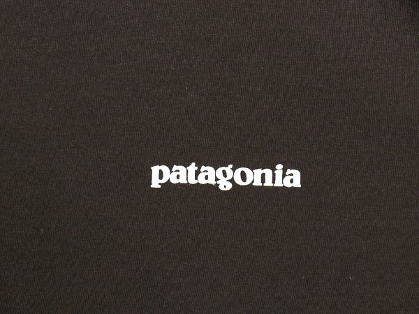 パタゴニア 両面 プリント 半袖 Tシャツ レディース  M  / 21年製 アウトドア カットソー P6 バックプリント ボックスロゴ クルーネック 灰