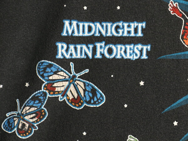 90s 昆虫 イラスト プリント Tシャツ メンズ XL 古着 オールド アート アニマル グラフィック ヘビーウェイト 大きいサイズ 黒 当時物 自然