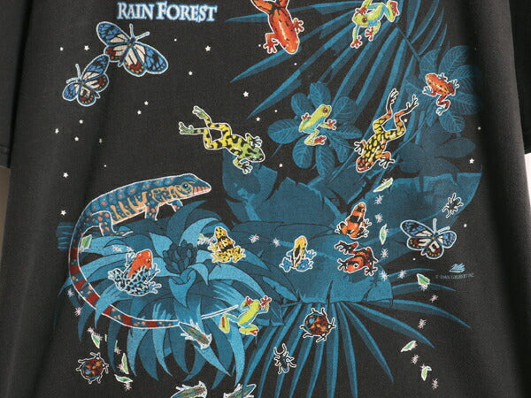 90s 昆虫 イラスト プリント Tシャツ メンズ XL 古着 オールド アート アニマル グラフィック ヘビーウェイト 大きいサイズ 黒 当時物 自然
