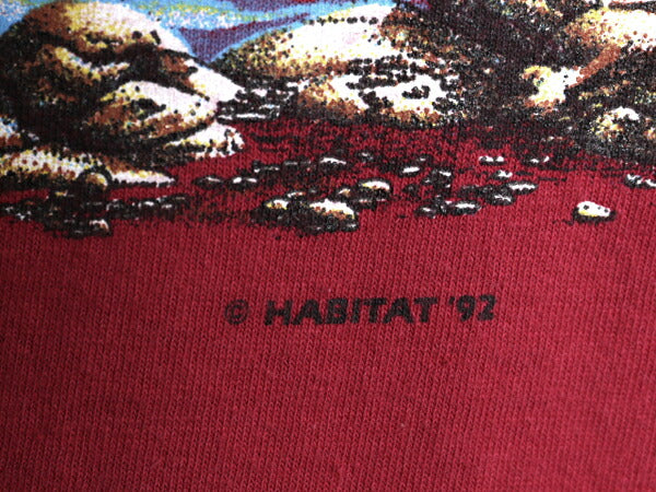 90s USA製 イーグル アート イラスト 両面 プリント Tシャツ メンズ XL / オールド アニマル グラフィック シングルステッチ 大きいサイズ