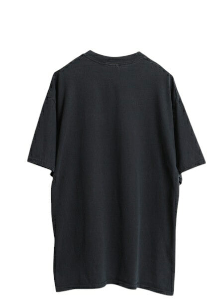 00s 虫 昆虫 アート イラスト プリント Tシャツ メンズ XL オールド メッセージ グラフィック ヘビーウェイト 大きいサイズ 黒 カットソー