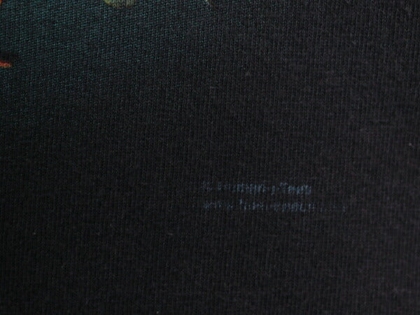 00s 虫 昆虫 アート イラスト プリント Tシャツ メンズ XL オールド メッセージ グラフィック ヘビーウェイト 大きいサイズ 黒 カットソー