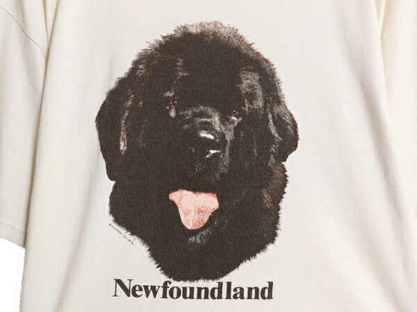 90s USA製 ドッグ アート イラスト プリント Tシャツ メンズ レディース L 古着 アニマル 犬 グラフィック ヘビーウェイト キャラクター