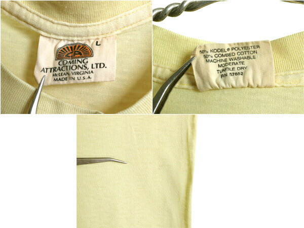 70s USA製 アライグマ イラスト プリント Tシャツ L メンズ レディース 小さめ M 程 ヴィンテージ アニマル グラフィック シングルステッチ