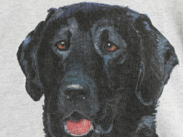 90s USA製 ドッグ アート イラスト プリント Tシャツ メンズ レディース L アニマル 犬 シングルステッチ ヘビーウェイト キャラクター 灰