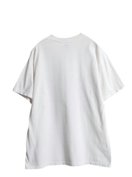 90s 虫 昆虫 アート イラスト プリント Tシャツ メンズ L 古着 オールド 植物 グラフィック ヘビーウェイト ヘインズ ホワイト 昆虫標本 白