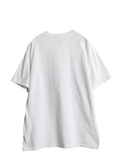 90s 虫 昆虫 アート イラスト プリント Tシャツ メンズ L 古着 オールド 植物 グラフィック ヘビーウェイト ヘインズ ホワイト 昆虫標本 白