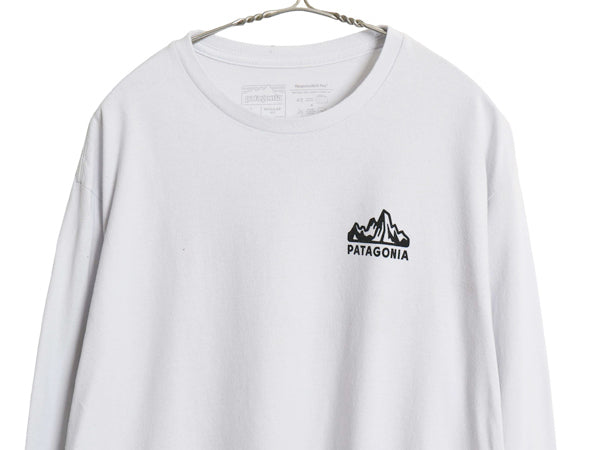 パタゴニア 両面 プリント 長袖 Tシャツ メンズ L / 20年製 アウトドア ロンT ロングスリーブ グラフィック アート イラスト カットソー 青