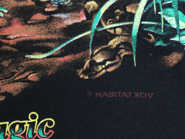 90s USA製 ホワイトタイガー イラスト 両面 プリント Tシャツ メンズ XL 古着 ヴィンテージ アニマル アート グラフィック 黒 大きいサイズ