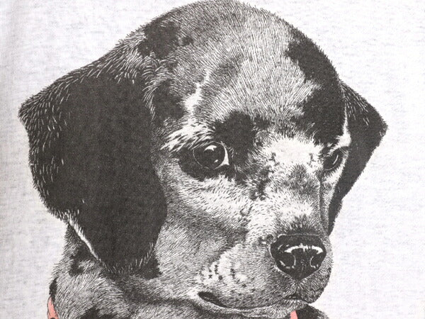 90s USA製 ドッグ イラスト プリント ビッグ Tシャツ レディース XXL 程 90年代 オールド アート 犬 アニマル シングルステッチ ワンピース
