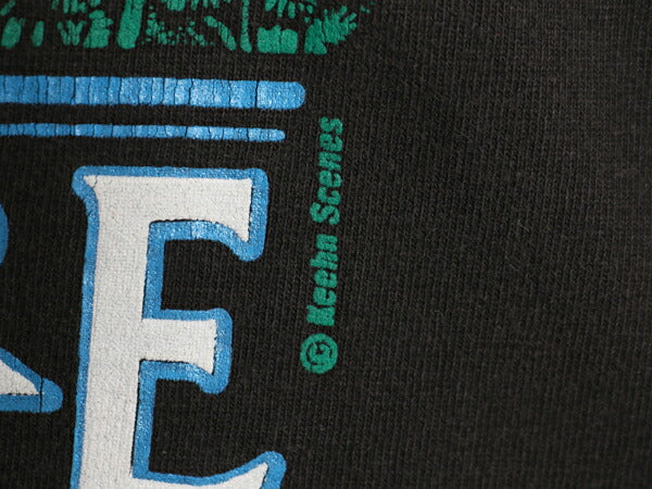 90s USA製 ラシュモア アート イラスト プリント Tシャツ メンズ XL / オールド グラフィック ヘビーウェイト スーベニア 大きいサイズ 黒