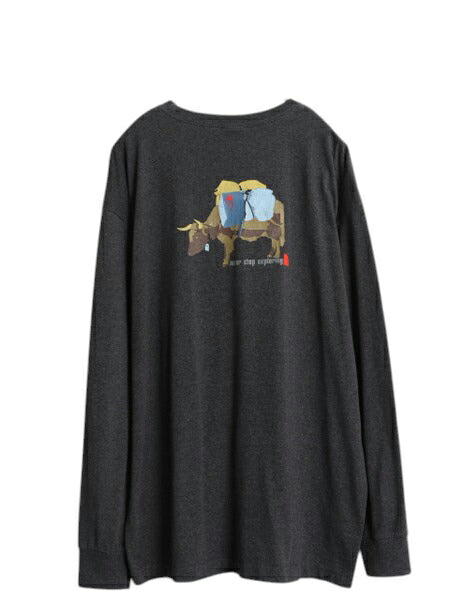 ノースフェイス 両面 プリント 長袖 Tシャツ メンズ XL / ロンT グラフィック バックプリント カットソー 大きいサイズ A5 シリーズ グレー