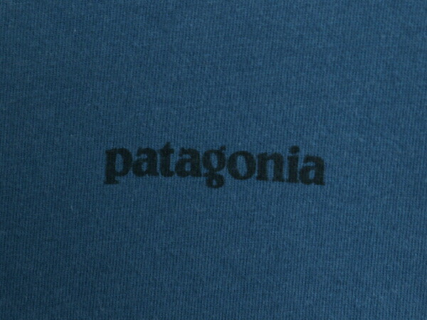パタゴニア 両面 プリント 長袖 Tシャツ メンズ S / 古着 15年製 アウトドア バックプリント フィッシュ グラフィック イラスト カットソー